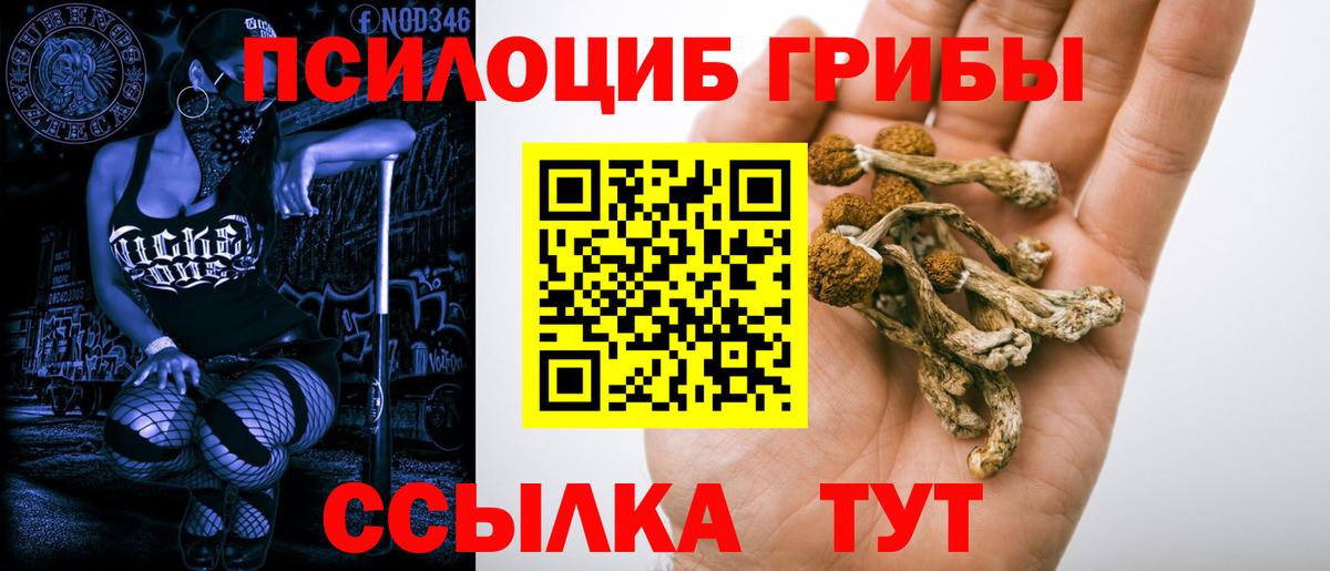 Галлюциногенные грибы MAGIC MUSHROOMS  Вход с VPN  Химки  Псилоцибиновые грибы GOLDEN TEACHER 