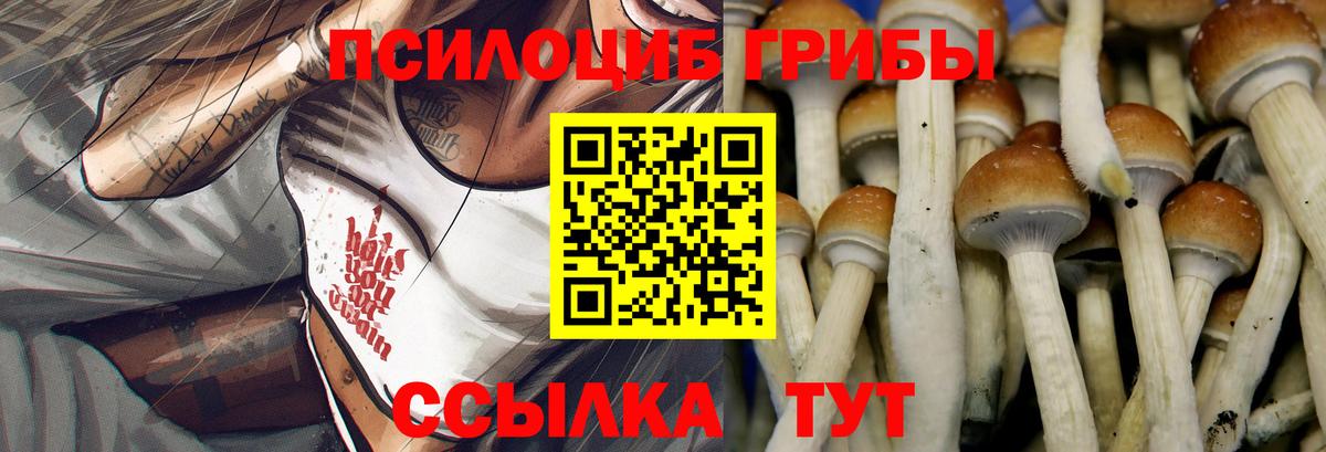 Галлюциногенные грибы мицелий  Галлюциногенные грибы Psilocybe  Химки 