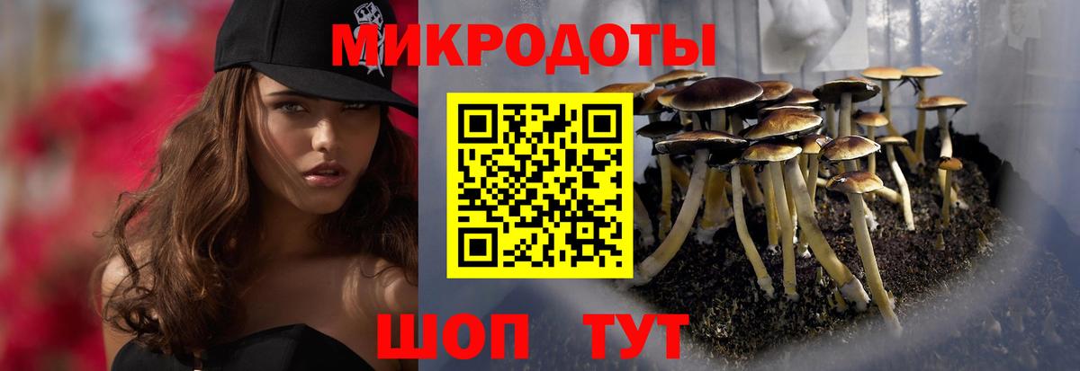 Галлюциногенные грибы GOLDEN TEACHER Химки